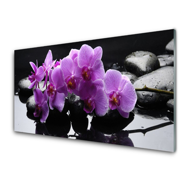 Üvegkép Falra Orchidea a háttérben a kövek