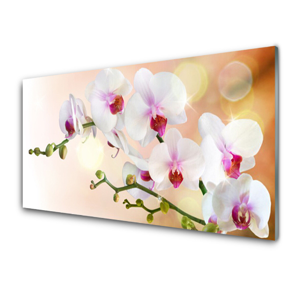 Üvegkép Orchideák narancssárga háttérrel