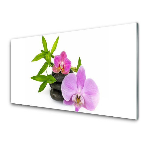 Üvegkép Nyomtatás Orchidea virágok fehér alapon