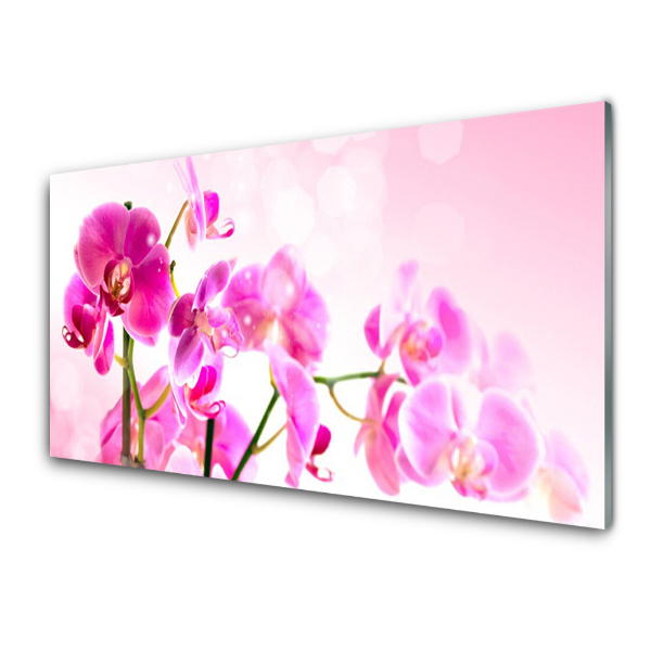 Üvegkép Rózsaszín orchidea virágok