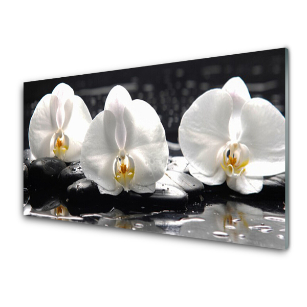 Modern Üvegkép Fehér orchideák, fekete kövek