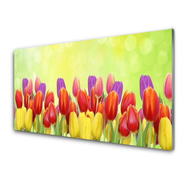 Modern Üvegkép Színes tulipánok a sorokban