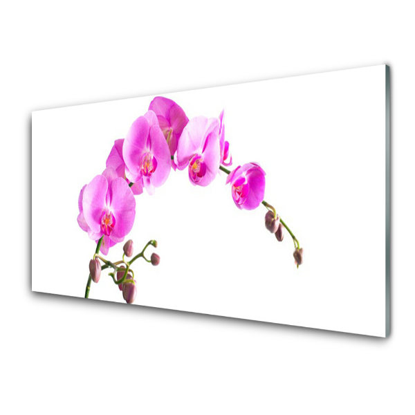 Üvegkép Rózsaszín orchidea fehér alapon