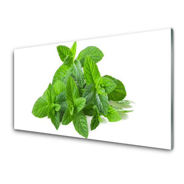 Üvegfotó Menta levelek fehér háttér