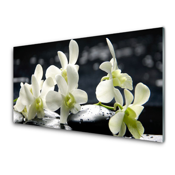Egyedi Üvegkép Fehér orchideák fekete háttér