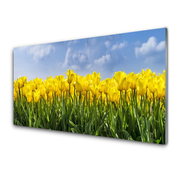 Üvegkép Falra Sárga tulipán mező