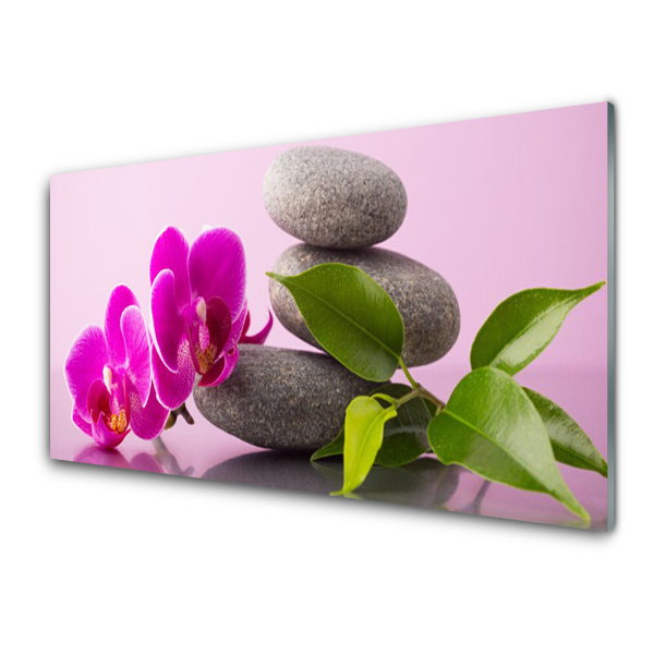 Egyedi Üvegkép Orchidea virág kövek rózsaszín háttér