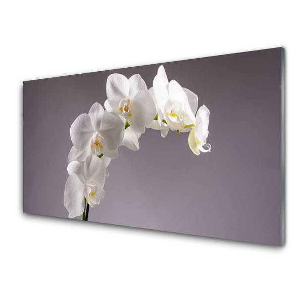 Üvegkép Nyomtatás Fehér orchideák szürke alapon