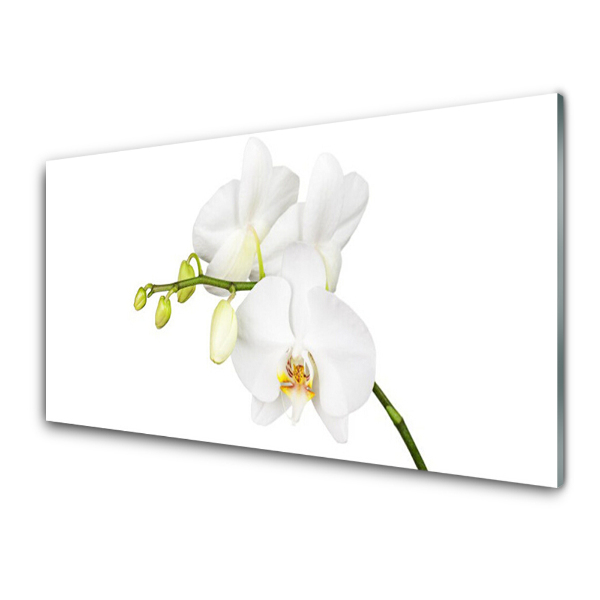 Egyedi Üvegkép Orchidea fehér virágok
