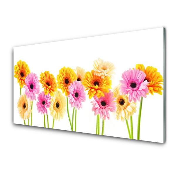 Egyedi Üvegkép Színes gerbera virágok