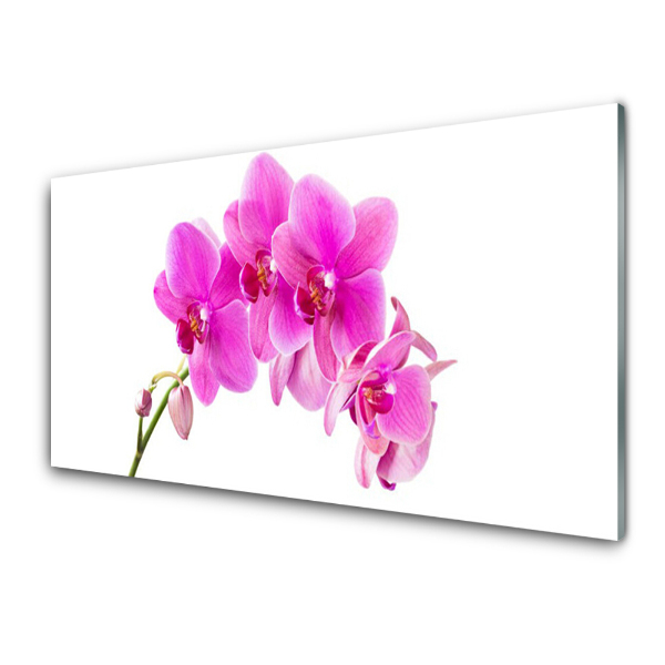 Modern Üvegkép Orchidea orchidea virág