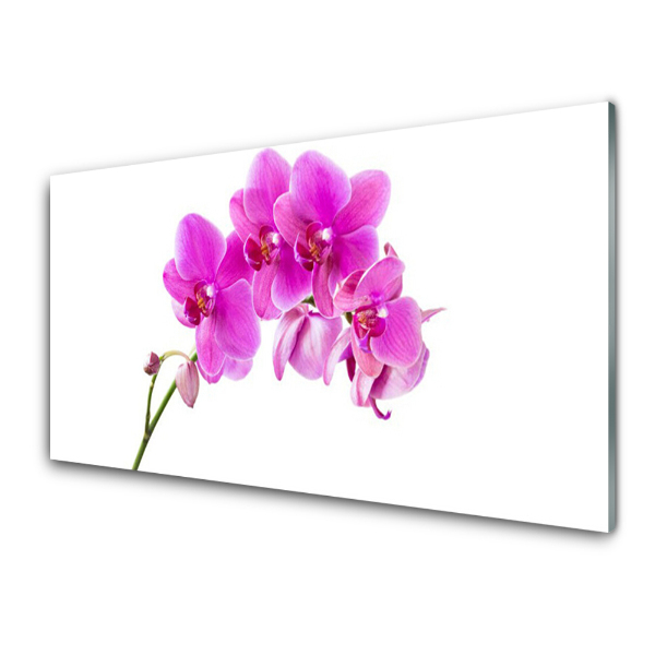 Üvegkép Orchidea orchidea virágok