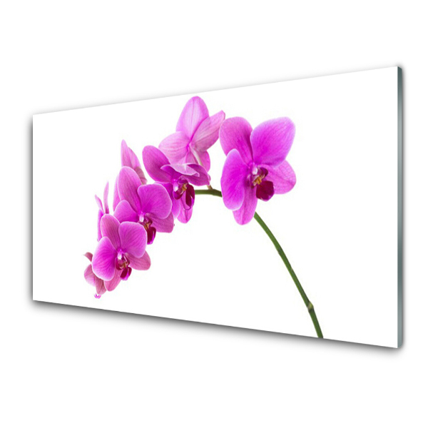 Üvegkép Falra Virág egy orchidea száron