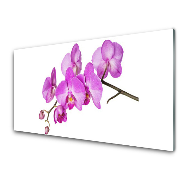 Üvegkép Rózsaszín orchidea orchidea
