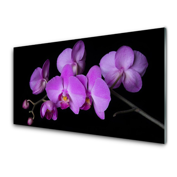 Üvegkép Falra Orchidea orchidea fekete háttér