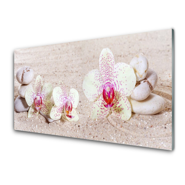 Üvegfotó Orchidea virágok a homokban