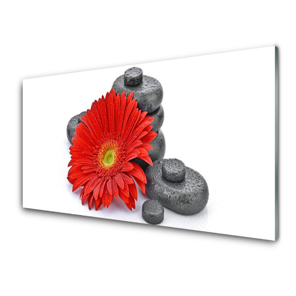 Modern Üvegkép Vörös gerbera virág kövek