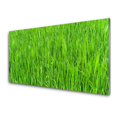 Egyedi Üvegkép Green Grass Turf