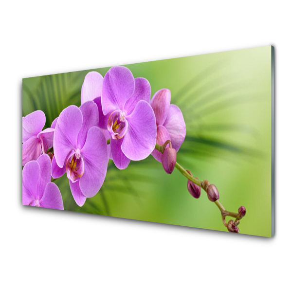 Egyedi Üvegkép Orchidea orchidea zöld háttér