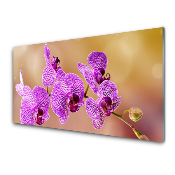 Üvegkép Rózsaszín orchidea hajtások Virágok Természet