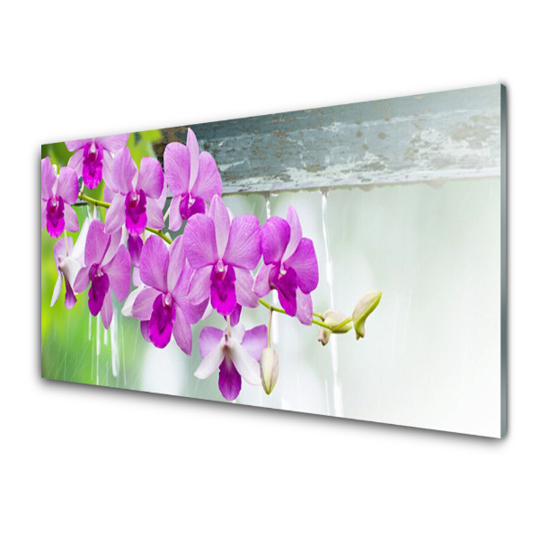 Üvegkép Falra Orchidea virágok Drops Nature