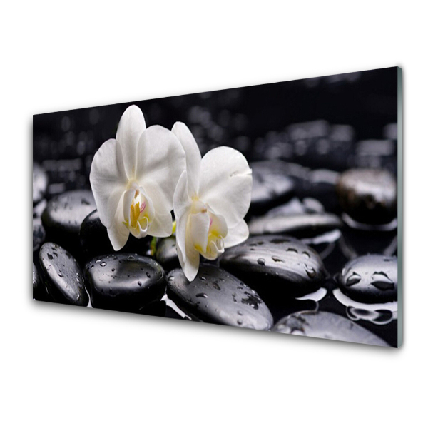 Modern Üvegkép Fekete kövek és két fehér orchidea