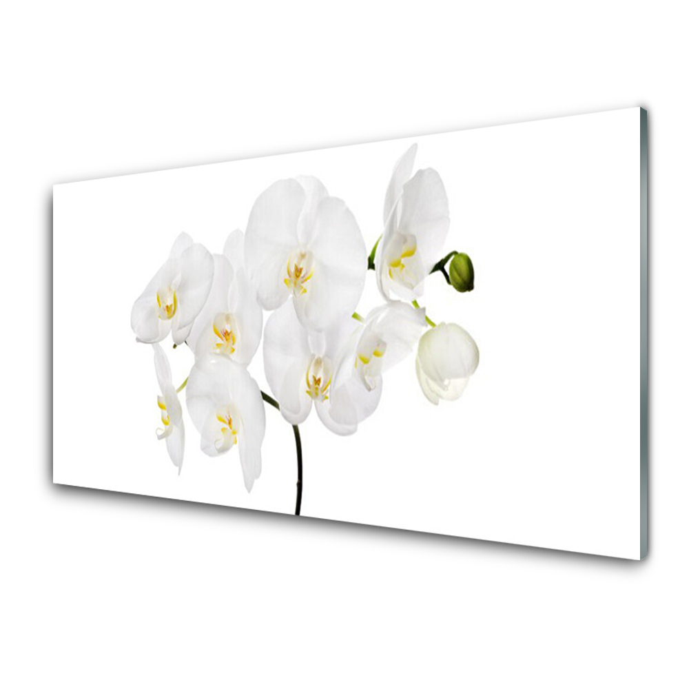 Üvegkép Falra Fehér orchidea