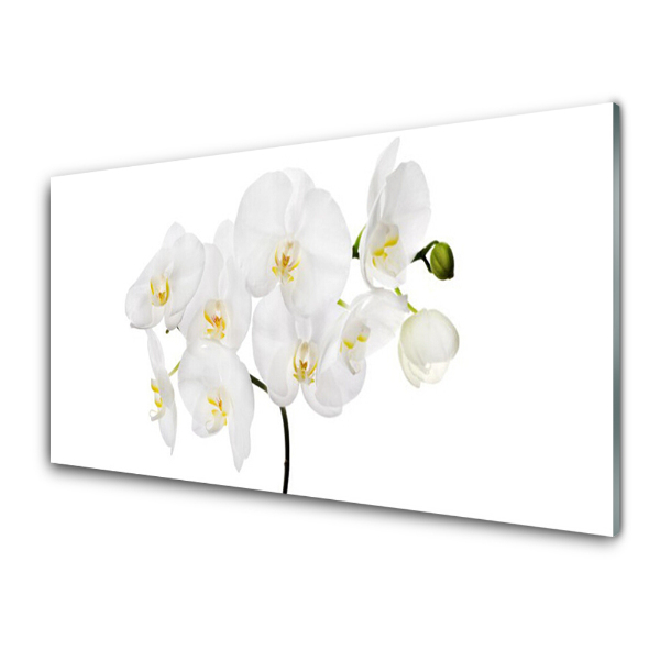 Üvegkép Falra Fehér orchidea