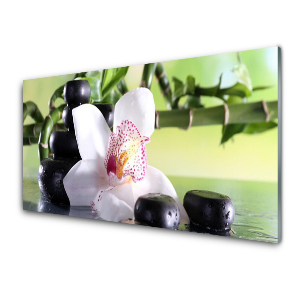 Üvegfotó Orchidea kövek bambusz