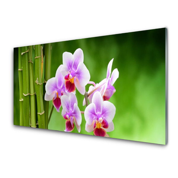 Üvegkép Bambusz és rózsaszín orchidea