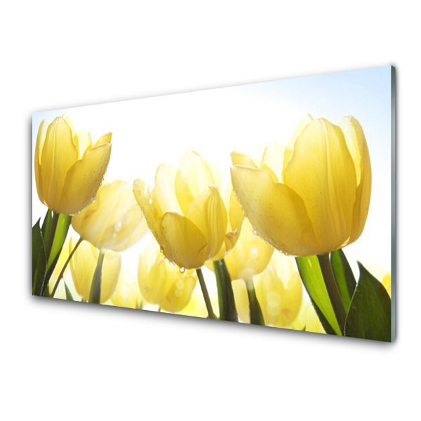 Üvegkép Nyomtatás Sárga tulipán Vértes