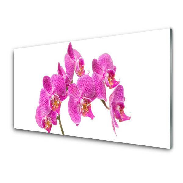 Egyedi Üvegkép Rózsaszín orchidea természet