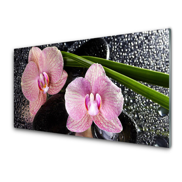 Egyedi Üvegkép Orchidea Pink Zen orchidea