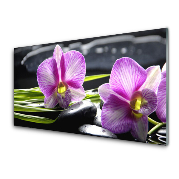Üvegkép Lila orchideák Zen Spa kövek