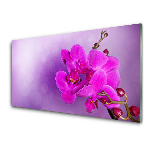 Üvegkép Falra Rózsaszín virágok szirmok Orchidea