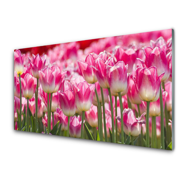 Üvegkép Falra Rózsaszín tulipán Természet