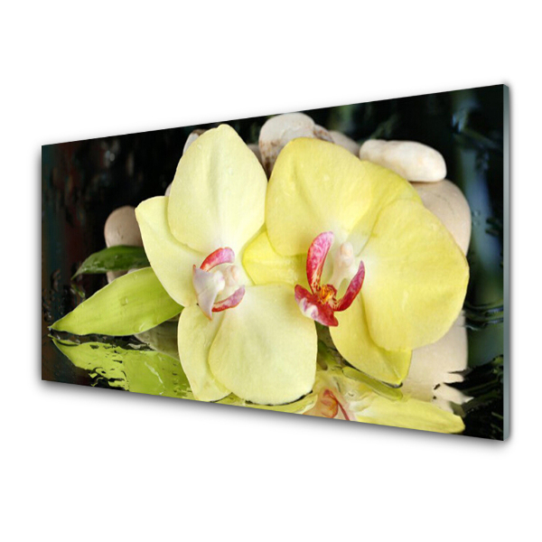 Üvegkép Falra Sárga szirmok egy orchidea virág