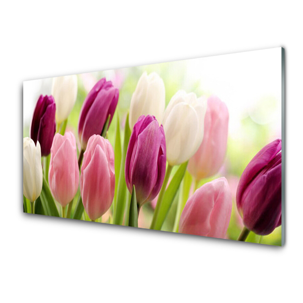 Üvegkép Rózsaszín tulipán Vértes