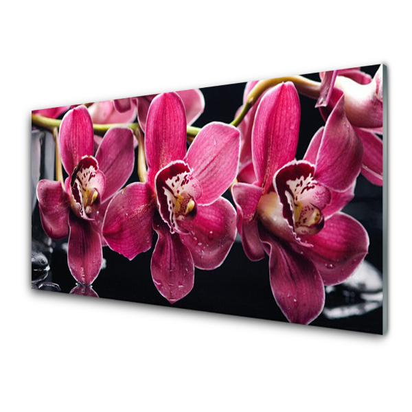 Üvegkép Nyomtatás Rózsaszín orchidea virágok Természet