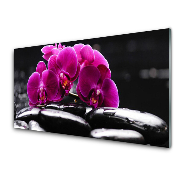 Üvegfotó Zen Orchid Spa kövek