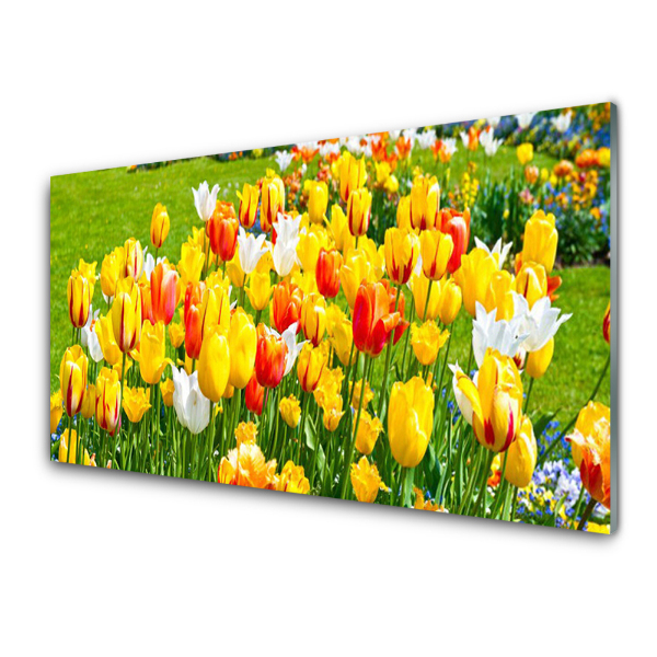 Üvegkép Nyomtatás Tulipánok a zöld füvön