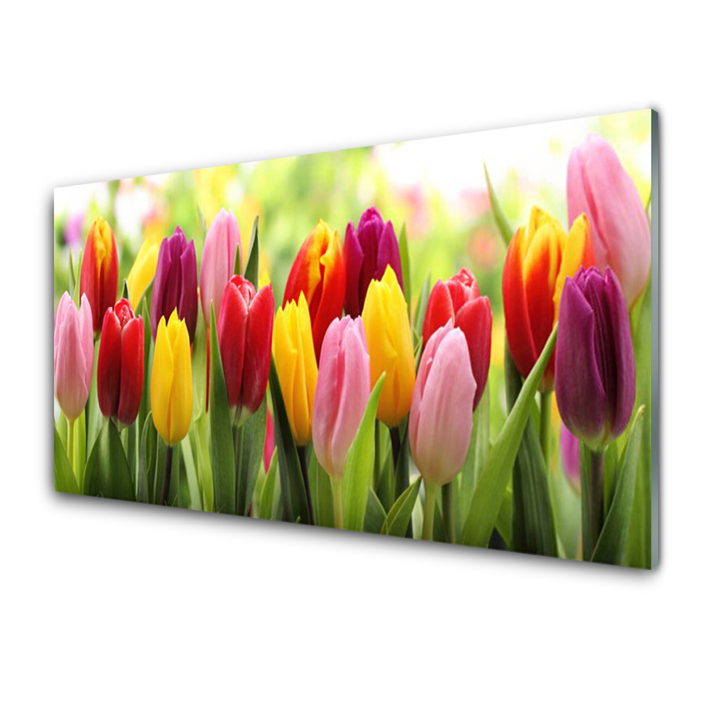 Modern Üvegkép Színes tulipán virágok természet