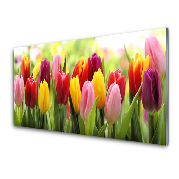 Modern Üvegkép Színes tulipán virágok természet