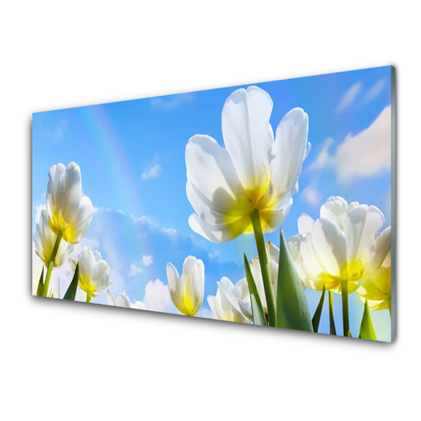 Üvegkép Falra Fehér tulipán növények