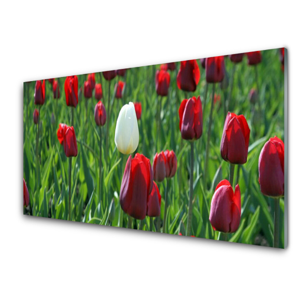 Üvegkép Piros tulipán és egy fehér