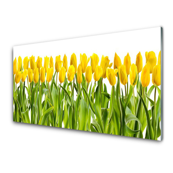 Üvegkép Falra Sárga tulipánok két sorban