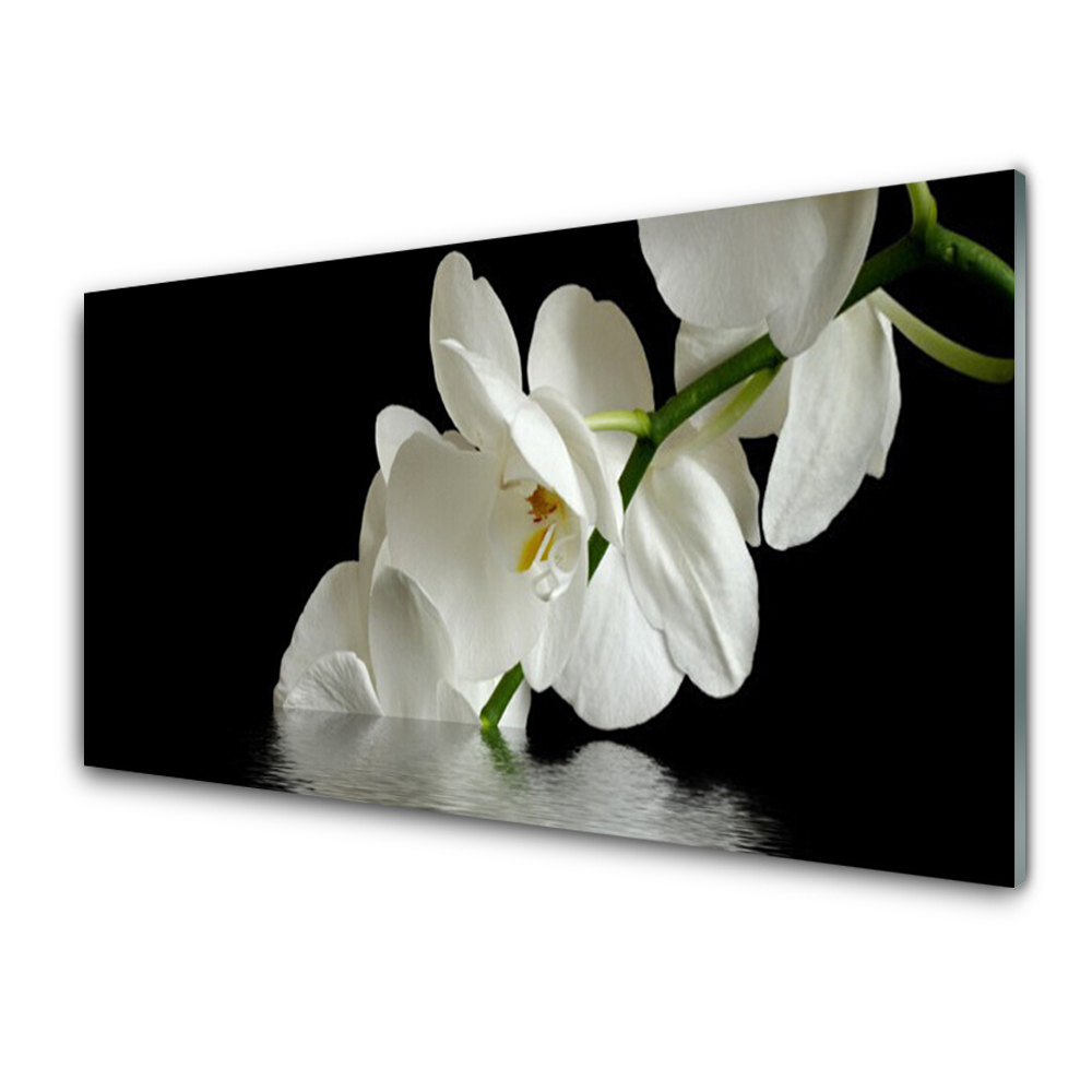 Üvegfotó Orchidea víz fekete háttér