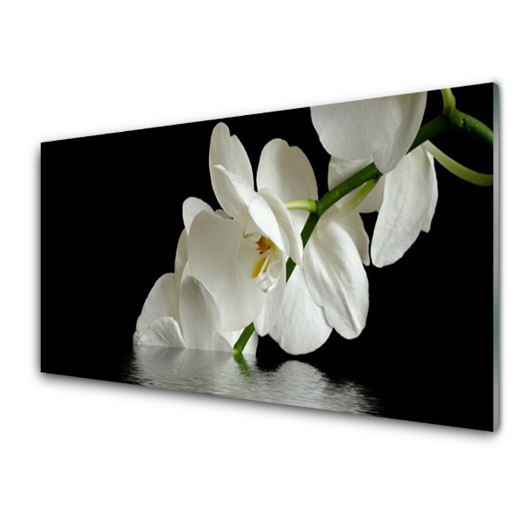 Üvegfotó Orchidea víz fekete háttér