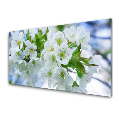 Üvegkép Alma virágzik a természet