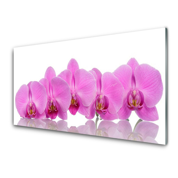 Modern Üvegkép Rózsaszín orchideák sorban